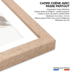 Affiche Etoile sauvage Affiche + cadre en bois - Chêne