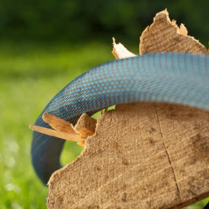 Kit tuyau Liano Xtreme - 25 m - GARDENA - 18475-20