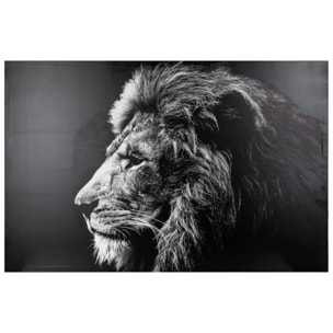 Toile imprimée lion 78x118cm