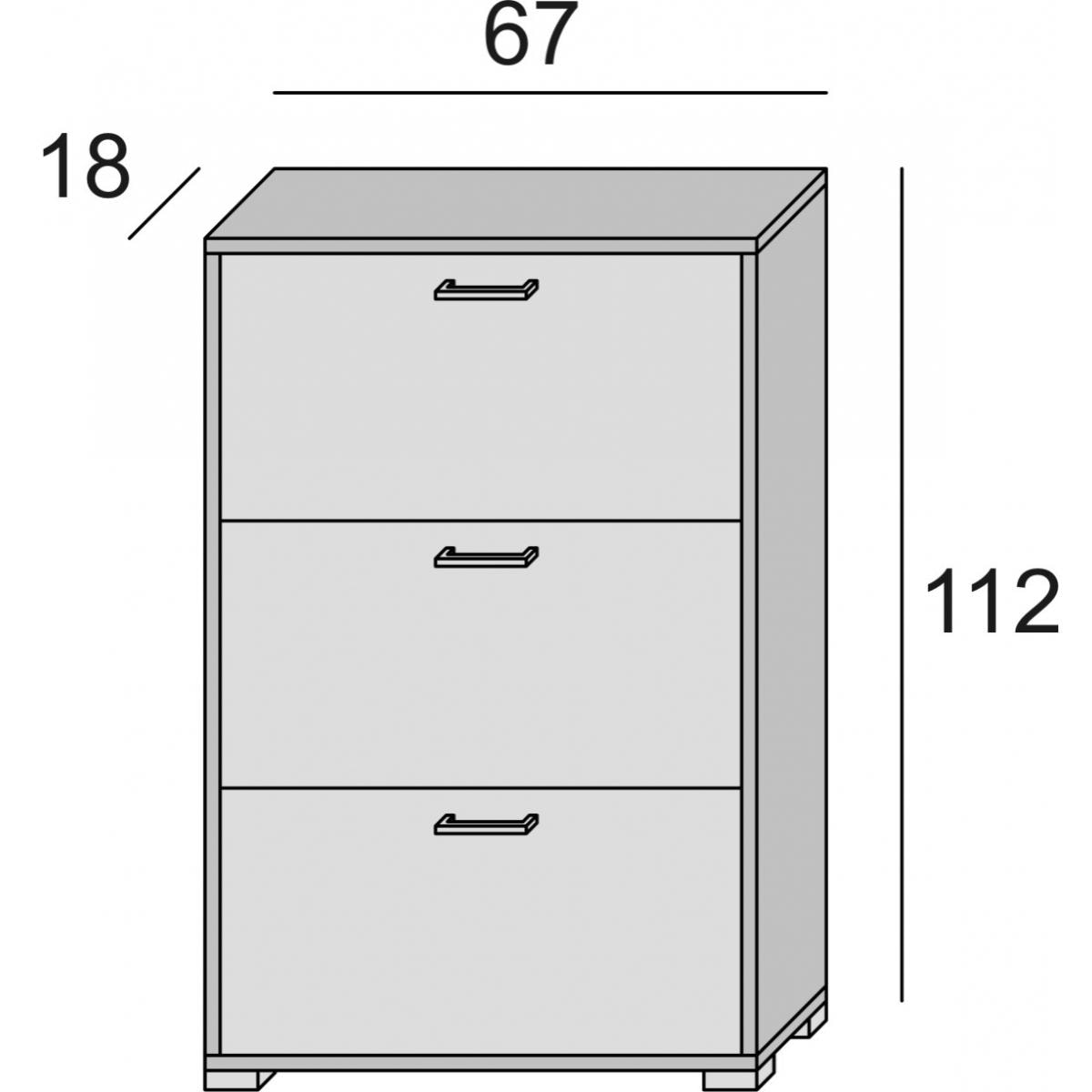 Scarpiera Iris, Mobile multiuso da ingresso con 3 ante a ribalta, Armadietto portascarpe moderno, 100% Made in Italy, Cm 67x18h112, Bianco