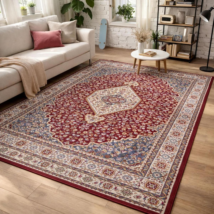Tapis salon Rectangulaire Oriental