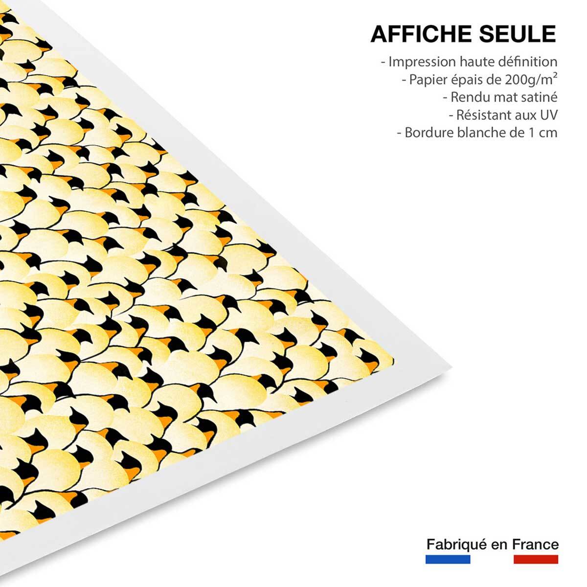 Affiche enfant pingouins  Affiche seule