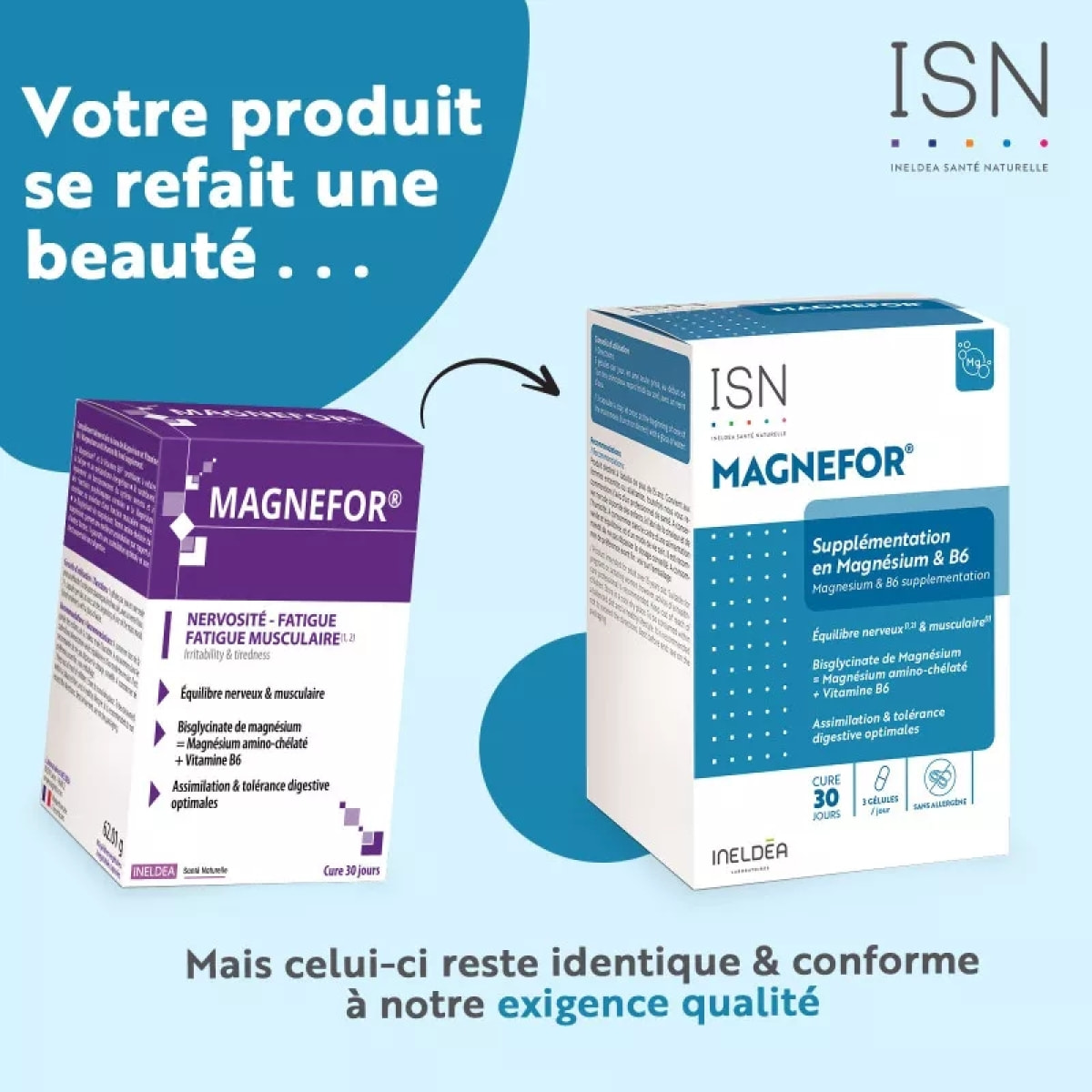 INELDEA SANTE NATURELLE - Magnefor - Complément Alimentaire au Bisglycinate de Magnésium + Vitamine B6 - Assimilation Optimale - Nervosité et Fatigue musculaire - 90 Gélules Végétales