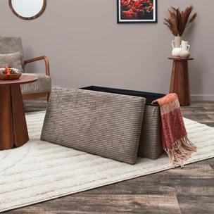 Coffre Banc Pliable Cotele Scott Taupe