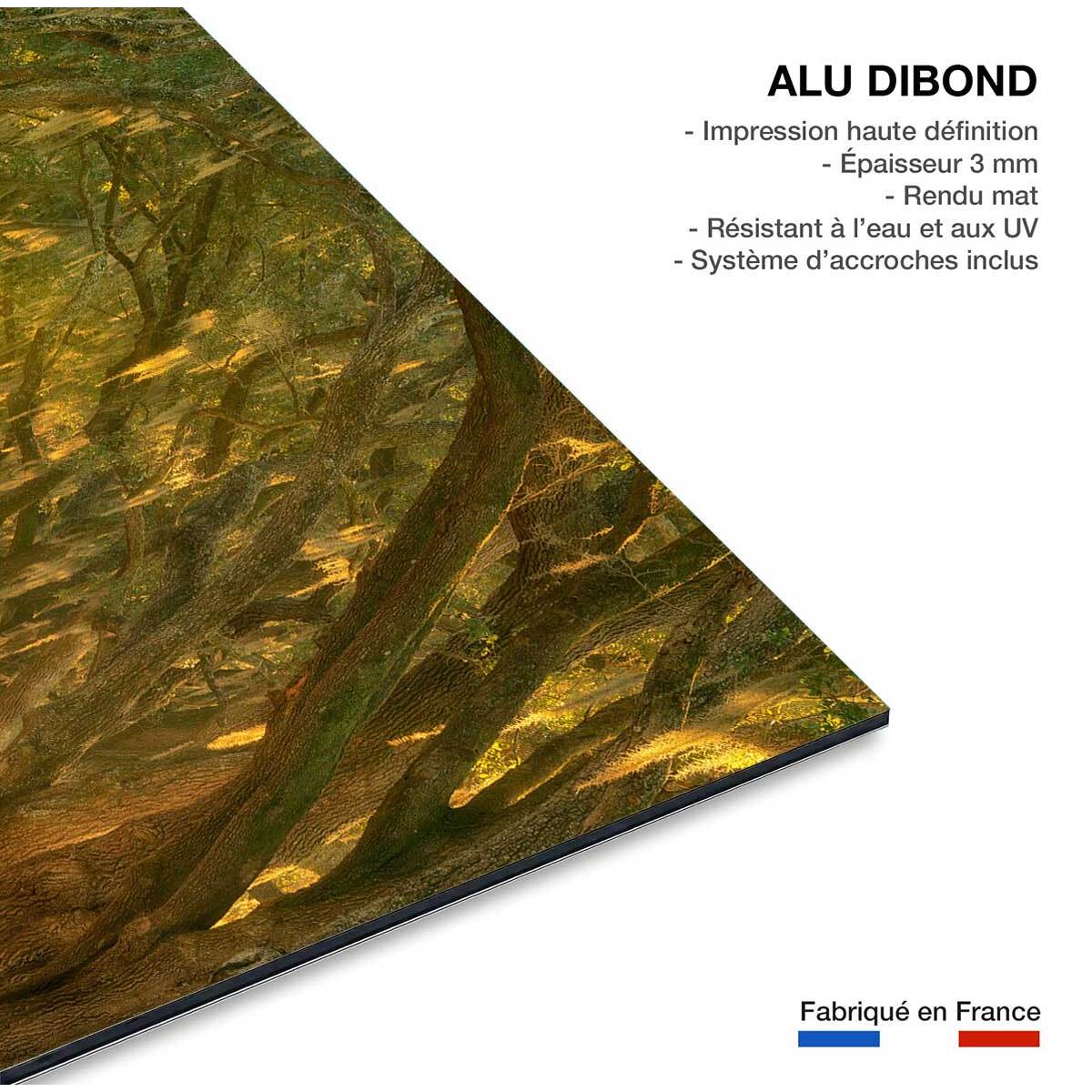 Tableau Allee enchanteresse Tableau alu Dibond