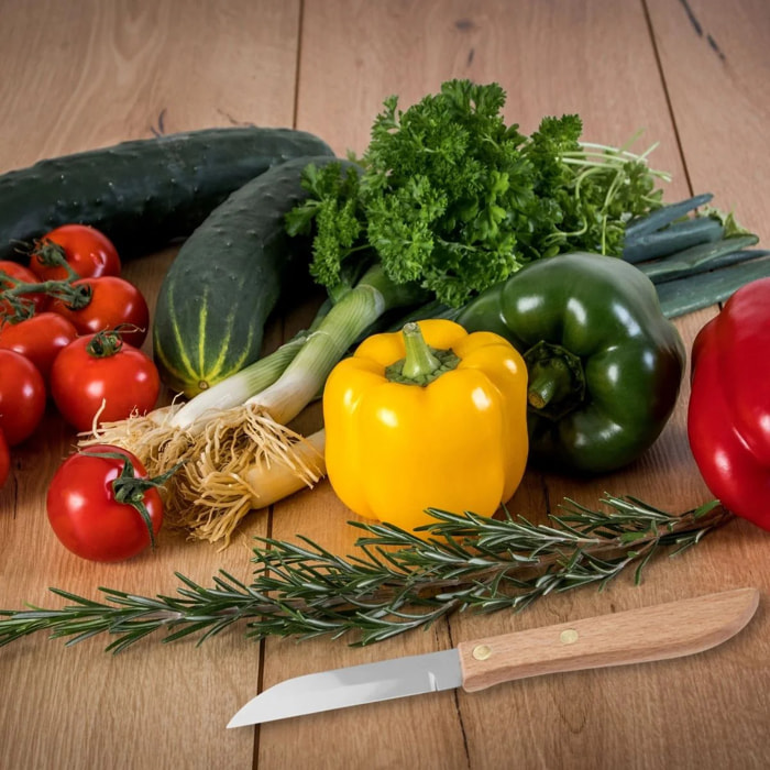 Lot de 2 couteaux d'office manche en bois lame de 7,5 cm Nirosta Country