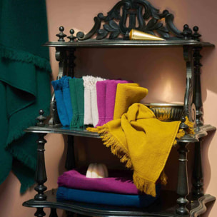 Lot de 2 serviettes invités Luna