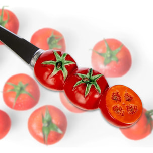 Lot de 4 couteaux à tomates lame crantée 11 cm Fackelmann