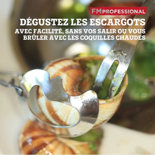 Lot de 4 pinces à escargot FM Professional