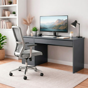 Scrivania moderna con 4 cassetti 1 cassettone centrale Scrittoio da Studio o Ufficio Mobile Desk 120 x 75 x 55 cm antracite