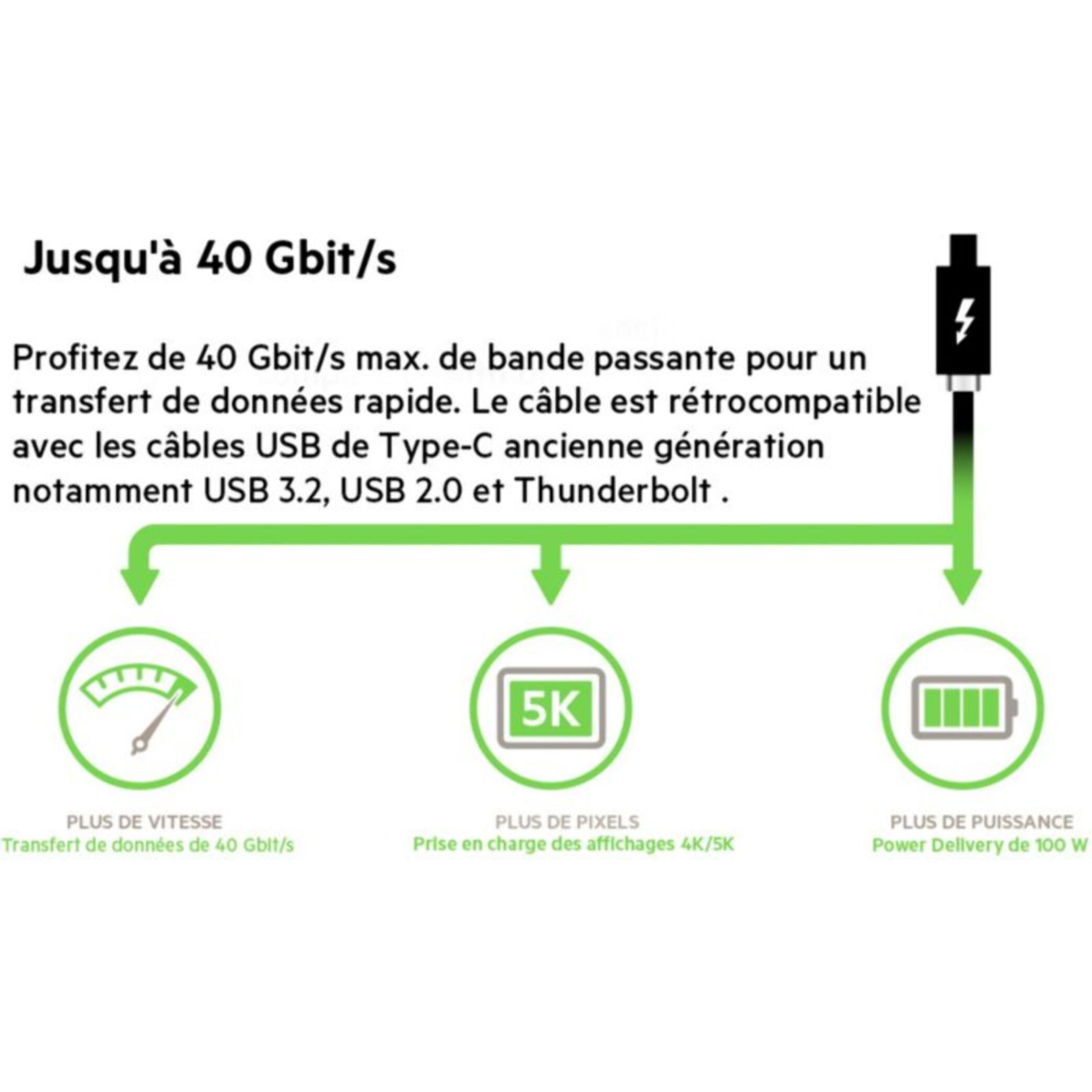 Adaptateur USB C BELKIN USB 4 C 0.80M
