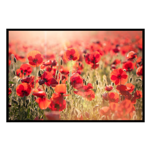 Affiche encadrée champ de coquelicots lumineux Affiche + cadre en métal - Noir