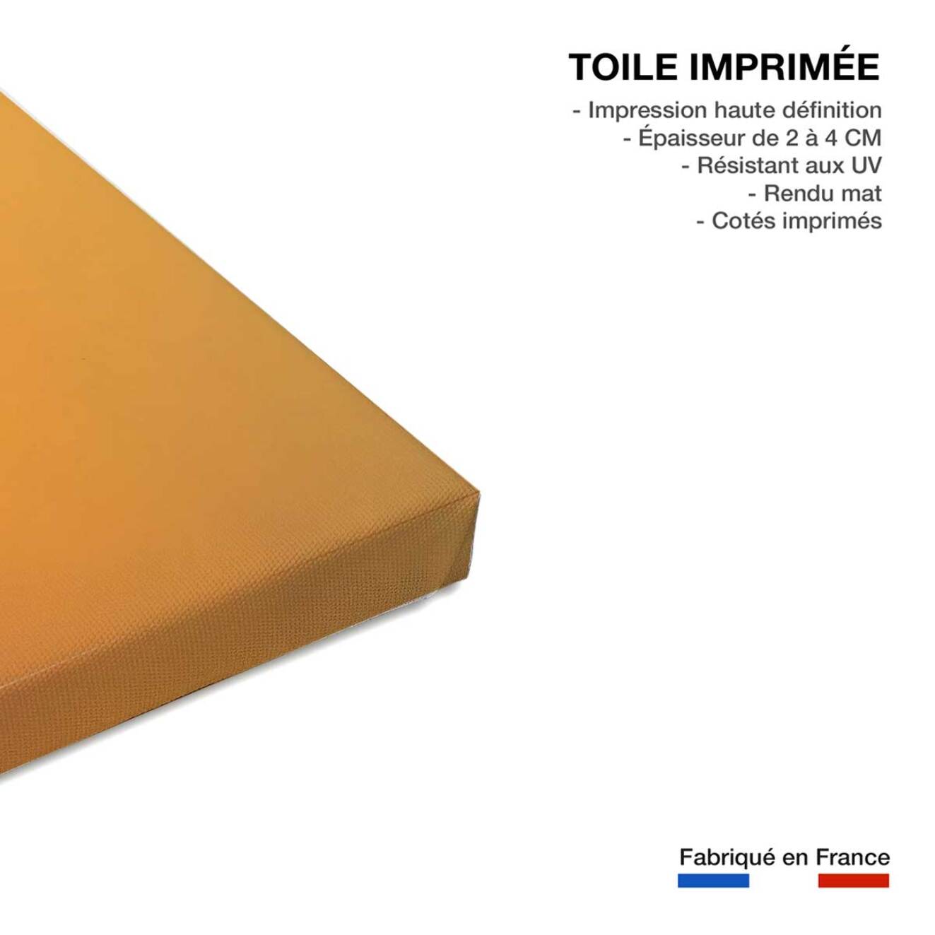 Tableau la savane Toile imprimée