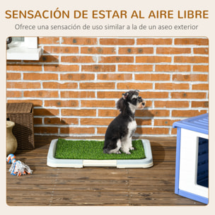 Inodoro para Perros Arenero para Perros con Césped Artificial Rejilla y Bandeja Desmontable para Entrenamiento de Cachorros en Exterior e Interior 63x48,5x6 cm Multicolor