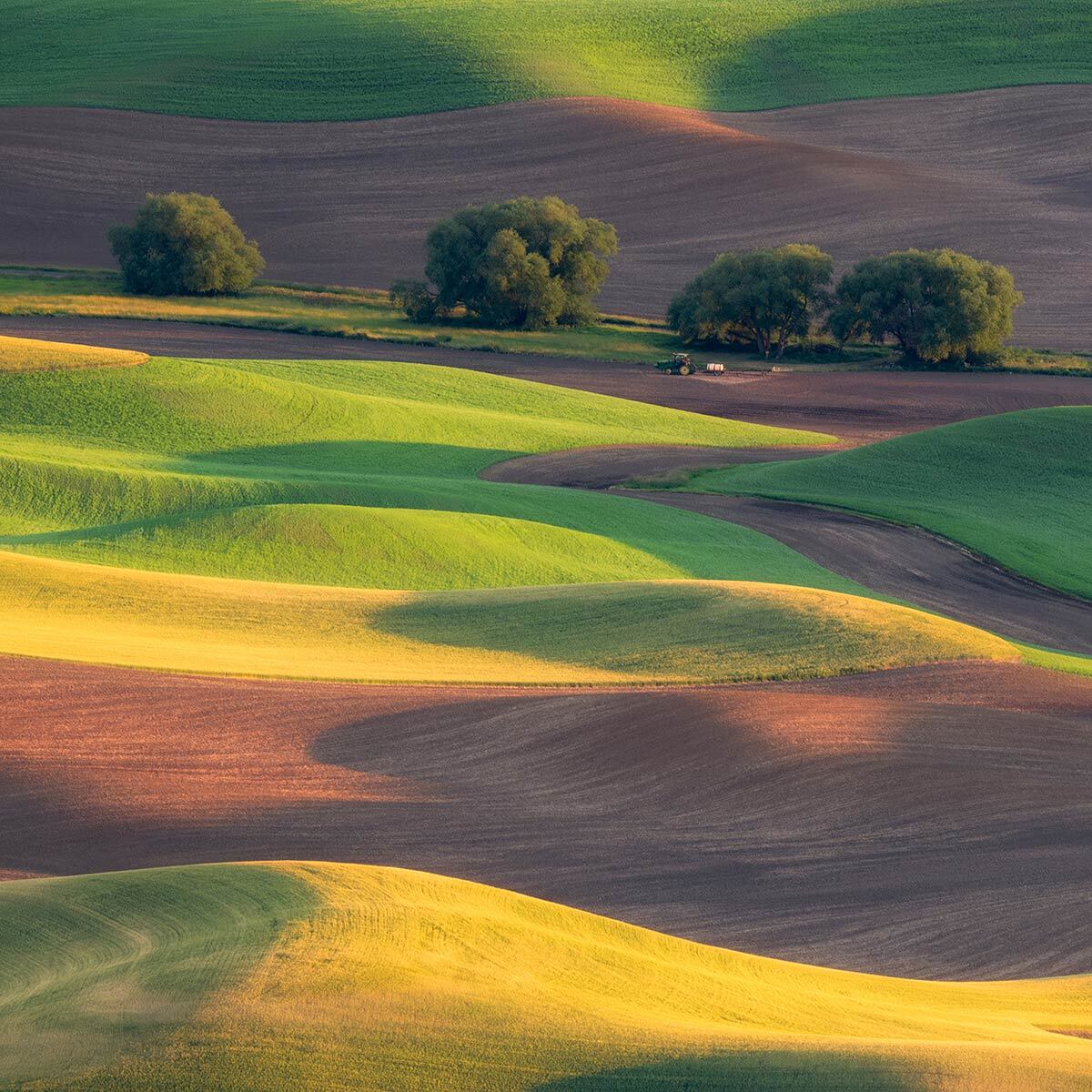 Papier peint panoramique terres agricoles Intissé