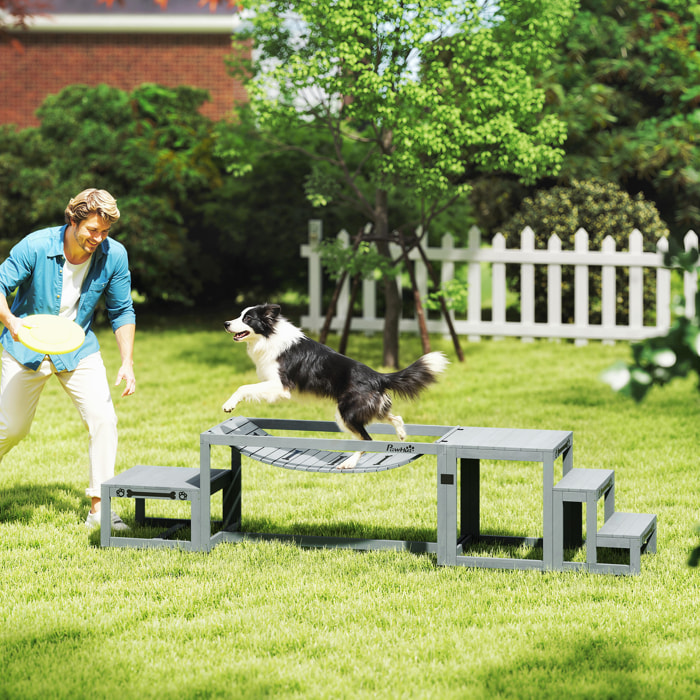 Passerelle agility chiens - Passerelle pour parcours canins d'Agility - bois de sapin gris