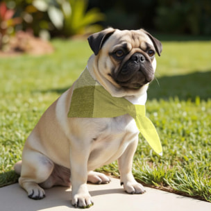 Pack de 2 bandanas pour animaux Bath Vert