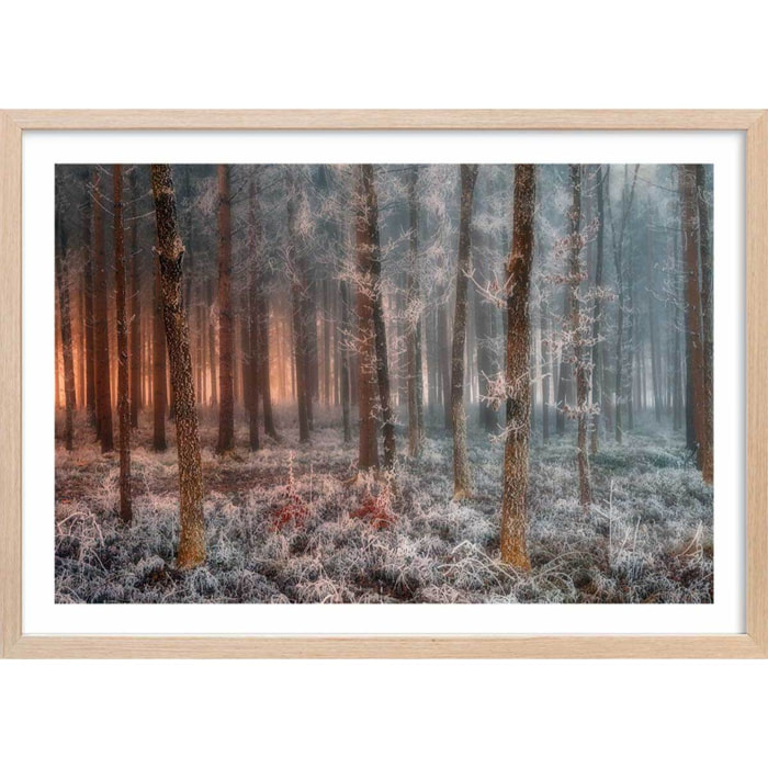 Affiche paysage de glace et de feu Affiche + cadre en bois - Chêne