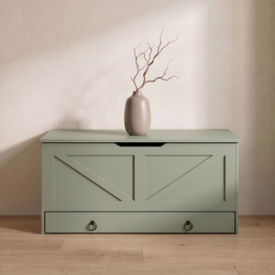 Kura - Cassapanca contenitore 100x50x40 cm Portaoggetti con Cerniere di Sicurezza e con Cassettiera in Legno Salvia