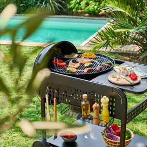 Barbecue rond charbon de bois acier émaillé Ø53cm avec chariot MAURICE