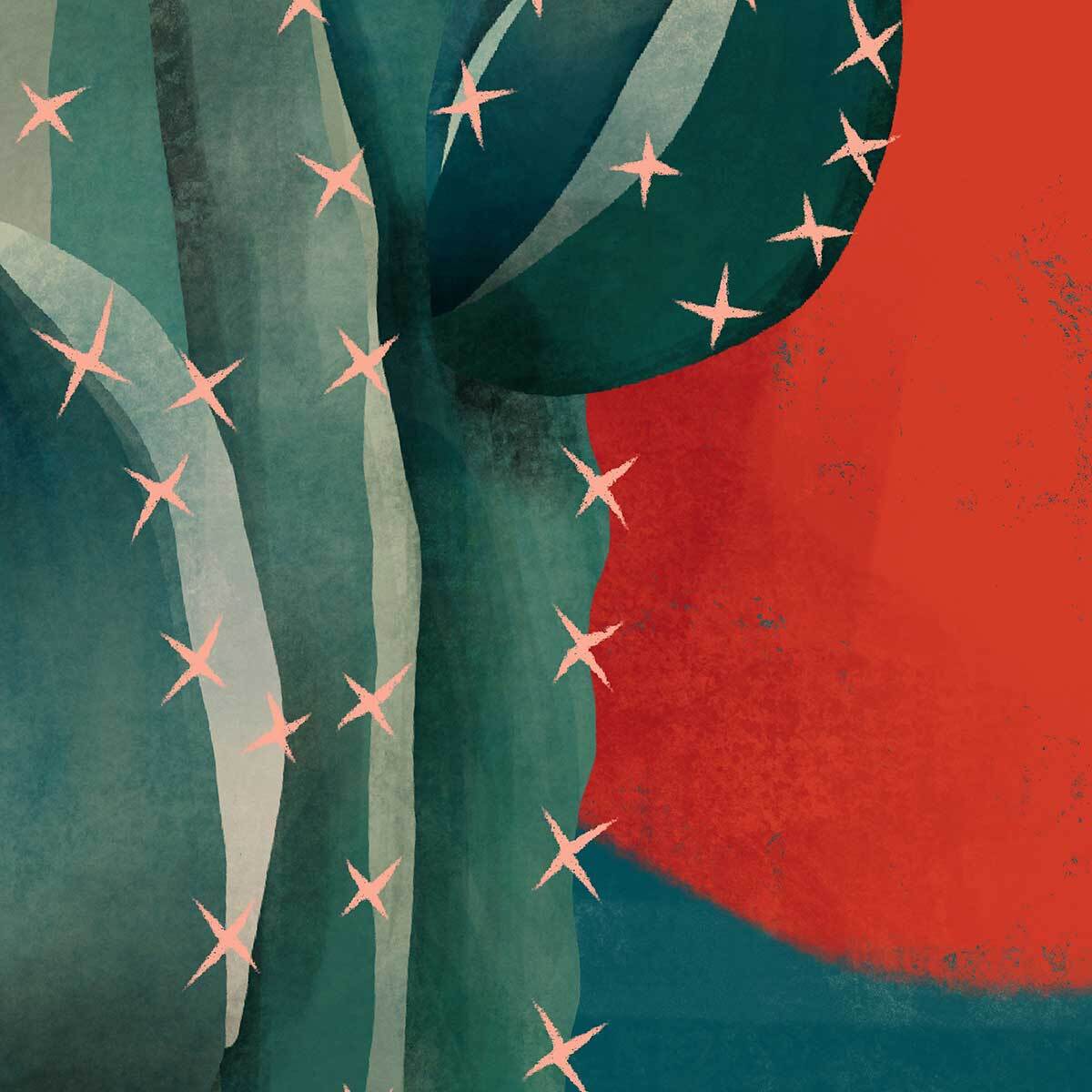 Affiche illustration cactus et soleil rouge Affiche + cadre en bois - Chêne