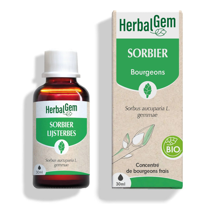 Herbalgem- Bourgeon de Sorbier - Bio - 30 ml