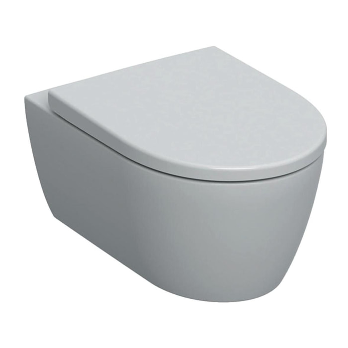 iCon WC suspendu Rimfree avec fixations invisibles, caréné, avec abattant softclose (501.664.00.1)