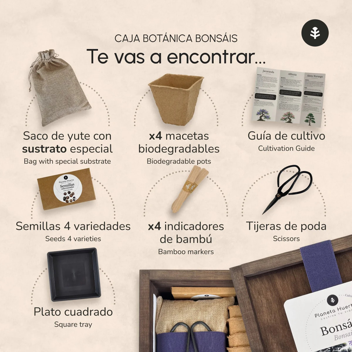 Kit de Cultivo de Bonsáis en Caja de Madera – Regalo Original Planeta Huerto