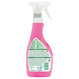Pack 10x Spray antical frambuesa Frosch 500 ml