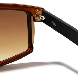 Gafas de Sol Alpha Brown Carey / Gradient Brown D.Franklin