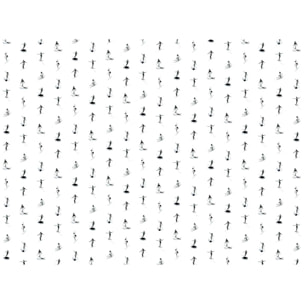 Papier peint Noserider Intissé