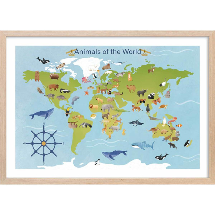Affiche enfant animaux du monde  Affiche + cadre en bois - Chêne