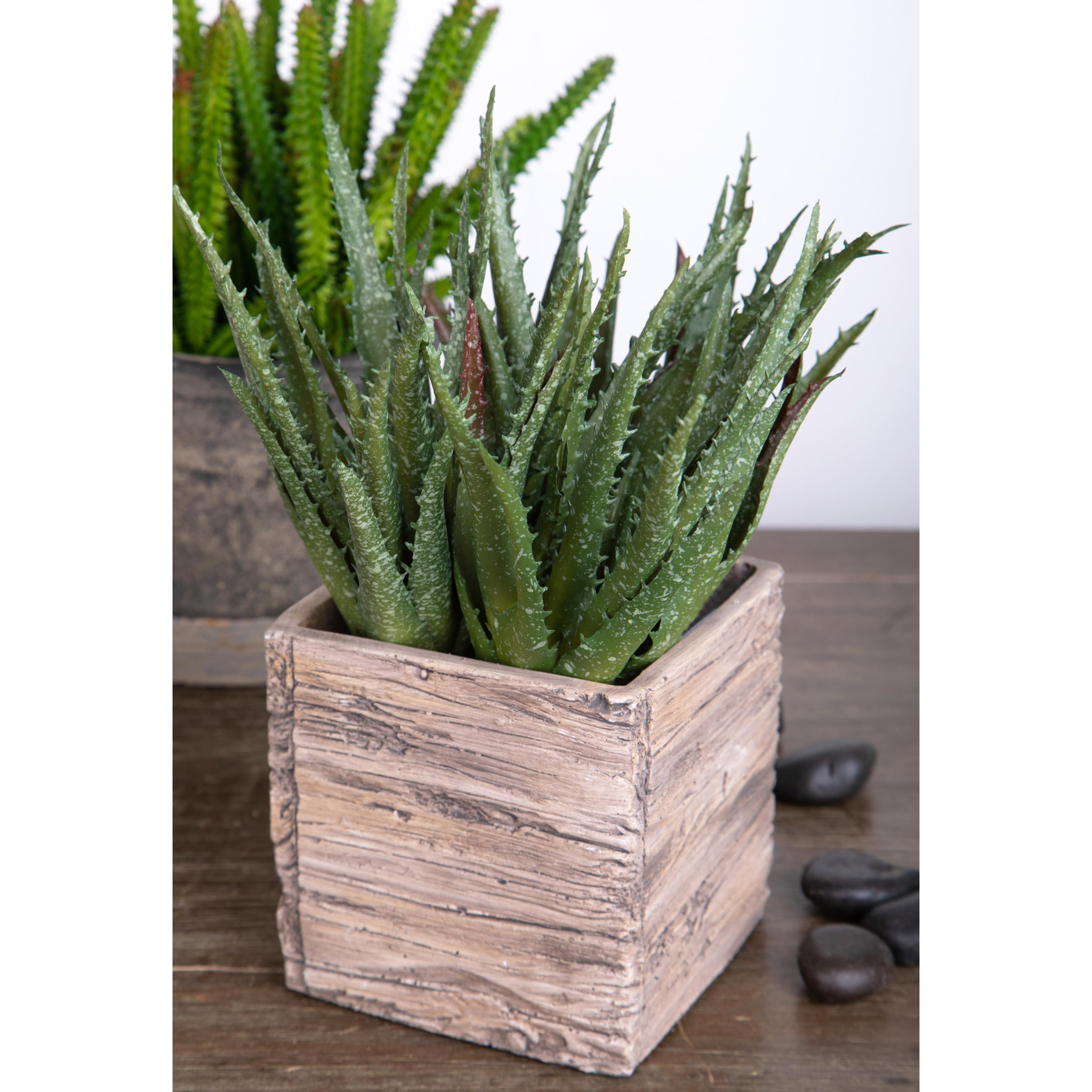 Aloe. Altezza 24 Cm - Pezzi 6 - 27X24X27cm - Colore: Verde - Bianchi Dino - Piante Artificiali