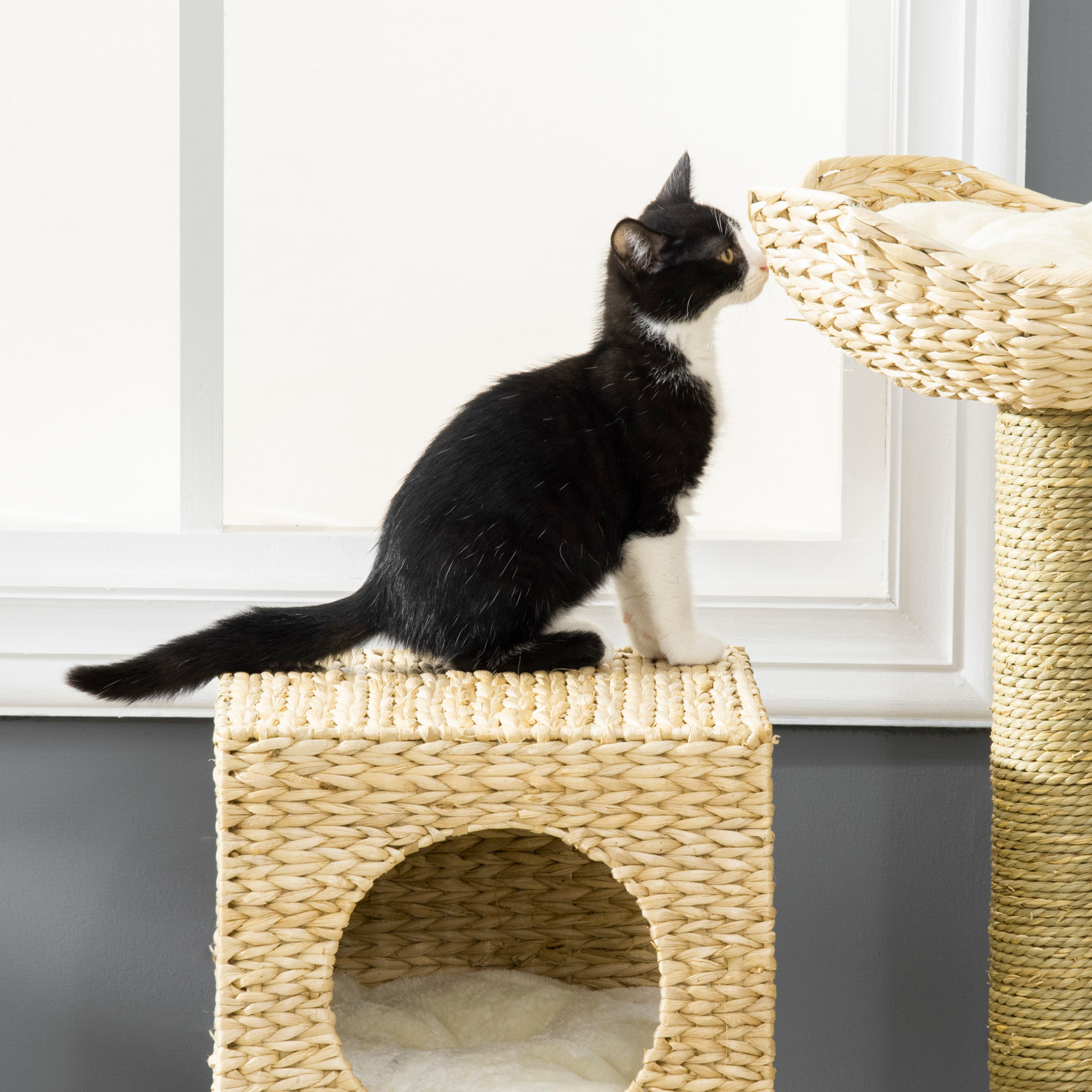 PawHut árbol Rascador para Gatos Medianos Altura 100,5 cm Torre para Gatos con Cama Superior y Cueva de Totora 2 Cojines 2 Postes Escalera 57x37x100,5 cm Natural