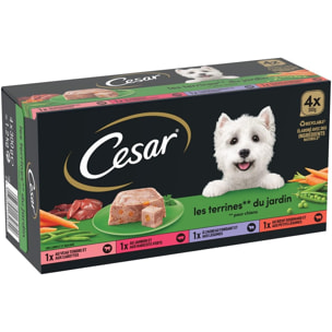 CESAR Barquettes en terrine 4 variétés pour chien 300g (4x4)