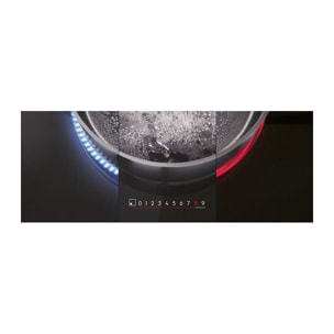 Table induction ELECTROLUX BIT60336BK H2H