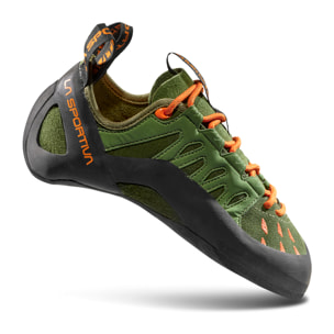 Tarantulace Pies de gato Escalada