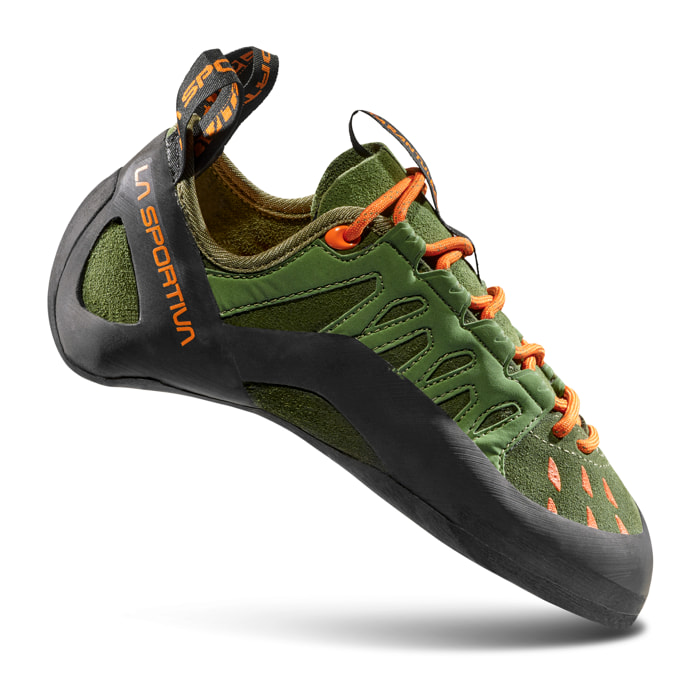 Tarantulace Pies de gato Escalada