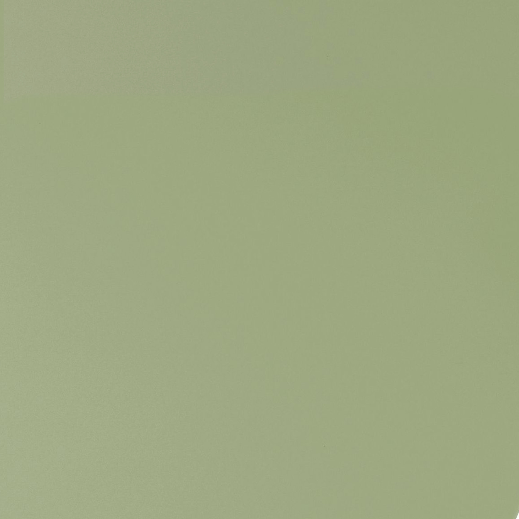 Abattant wood slim déclipsable uni - Vert tilleul