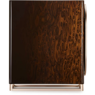 Enceinte bibliothèque active TRIANGLE Capella Nébuleuse Brune