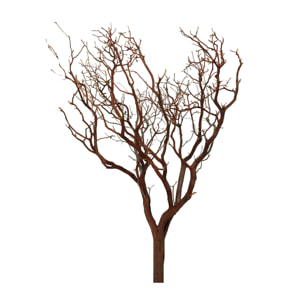 Manzanita Naturale - Pezzi 1 - 48X182X15cm - Colore Naturale - Bianchi Dino -