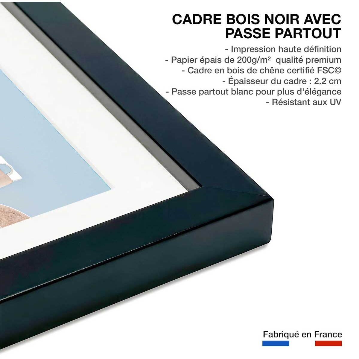 Poster agave au bord de mer Affiche sous cadre noir