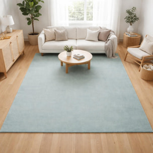 Tapis salon MITA, soft et soyeux, tapis uni à l'aspect Shaggy