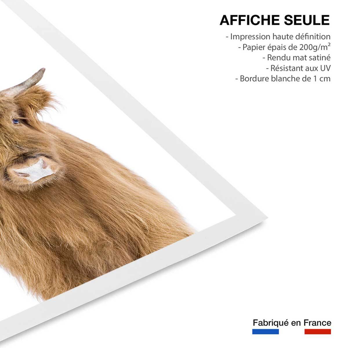 Affiche enfant bébé vache Affiche seule