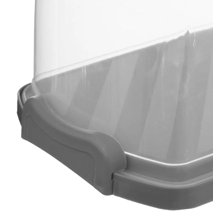 Boîte à cake 33x16cm Plastique