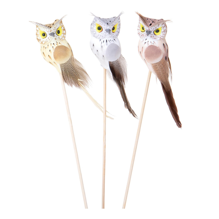 Pick civetta conf da 12 pz - 1 confezione - Colore: Multicolore - Bianchi Dino