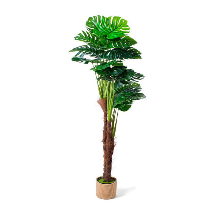 Monstera - Pianta Artificiale in vaso H160 cm