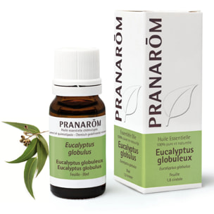 Pranarom - Huile Essentielle d'Eucalyptus globuleux - 10 ml