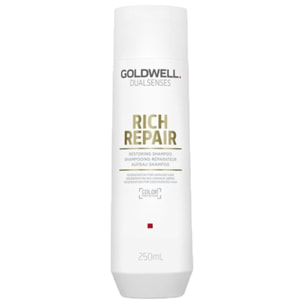 GOLDWELL DS Rich Repair Restoring Shampoo 250ml