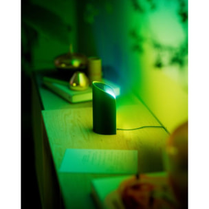 Lampe connectée PHILIPS HUE Play Wall washer Noir x2 White&Color gra